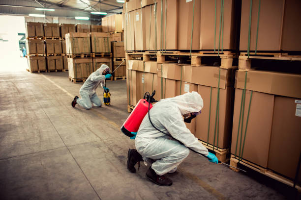 Best Residential Pest Control  in Westmont, PA