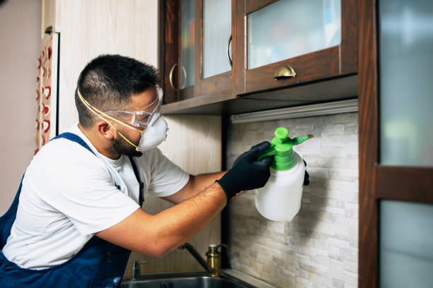 Best Commercial Pest Control Services  in Westmont, PA