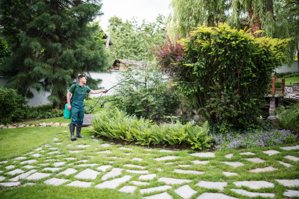 Insect Control in Westmont, PA