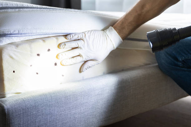 Pest Control Cost in Westmont, PA